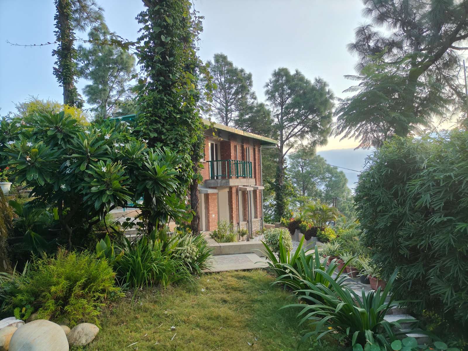 Azalea Resort